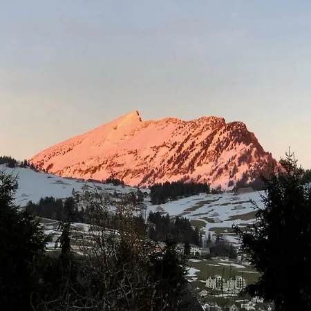 Apartamento Chalet Speer Amden